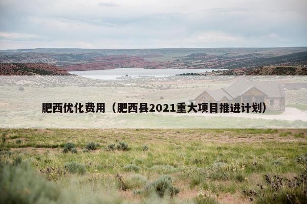 肥西优化费用（肥西县2021重大项目推进计划）
