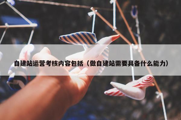 自建站运营考核内容包括（做自建站需要具备什么能力）