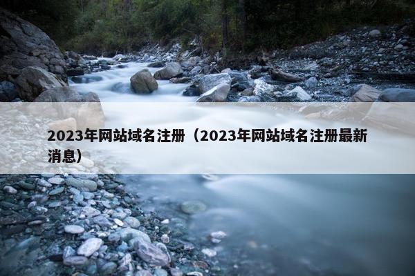 2023年网站域名注册（2023年网站域名注册最新消息）