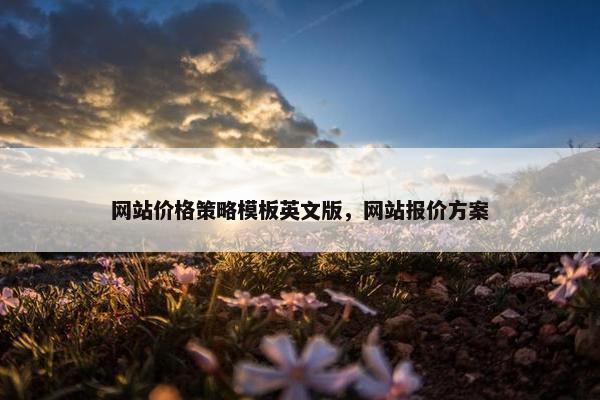 网站价格策略模板英文版，网站报价方案