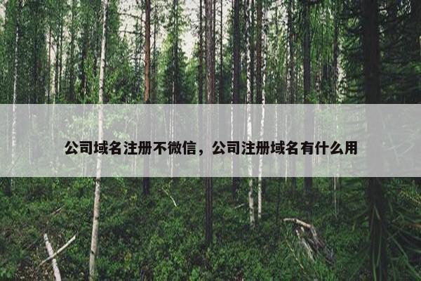 公司域名注册不微信，公司注册域名有什么用