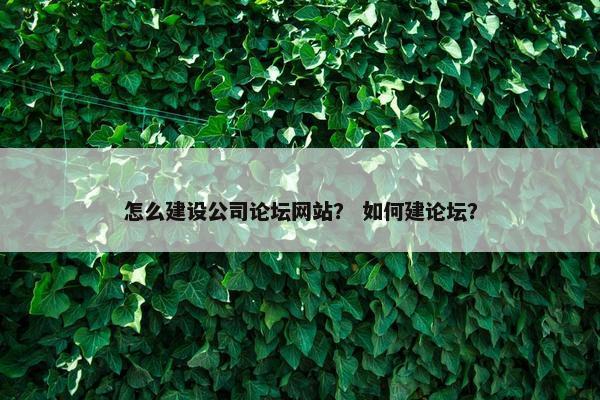 怎么建设公司论坛网站？ 如何建论坛？