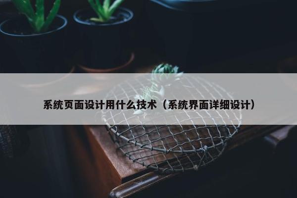 系统页面设计用什么技术（系统界面详细设计）