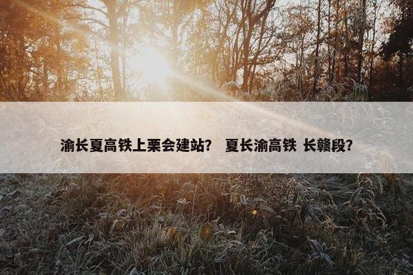 渝长夏高铁上栗会建站？ 夏长渝高铁 长赣段？
