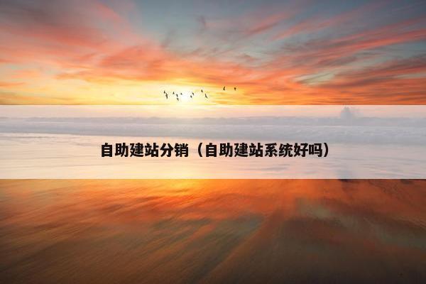 自助建站分销（自助建站系统好吗）