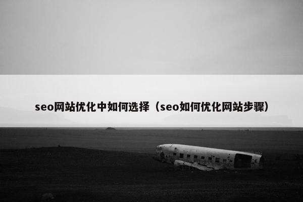 seo网站优化中如何选择（seo如何优化网站步骤）