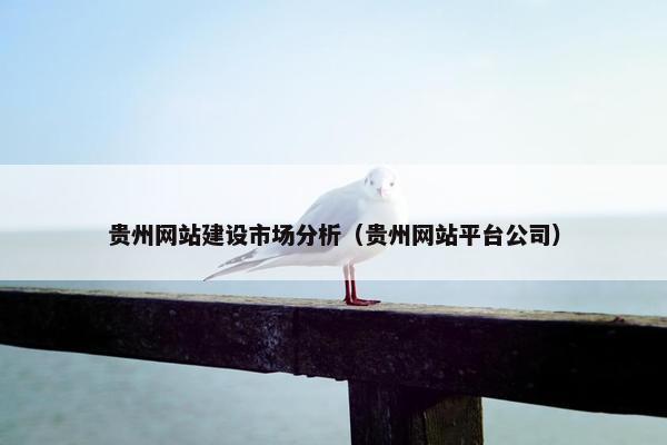 贵州网站建设市场分析（贵州网站平台公司）
