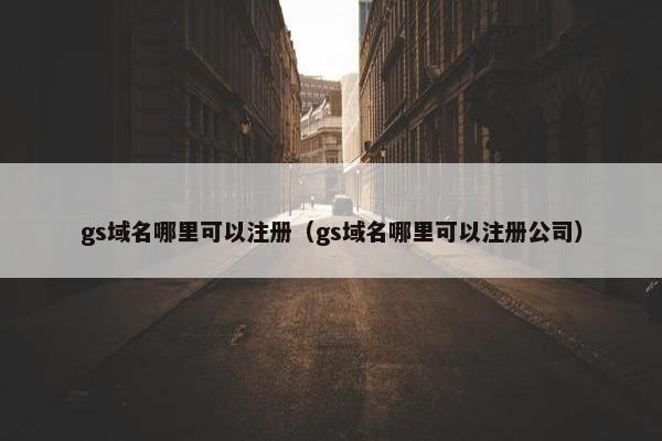 gs域名哪里可以注册（gs域名哪里可以注册公司）