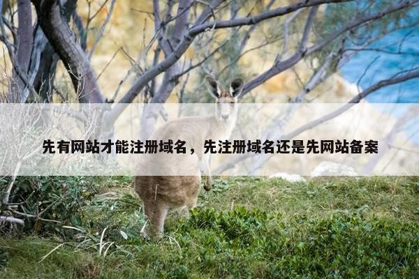 先有网站才能注册域名，先注册域名还是先网站备案