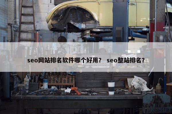 seo网站排名软件哪个好用？ seo整站排名？
