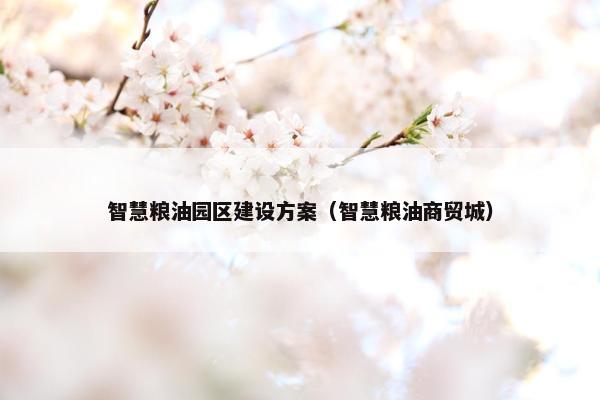 智慧粮油园区建设方案（智慧粮油商贸城）