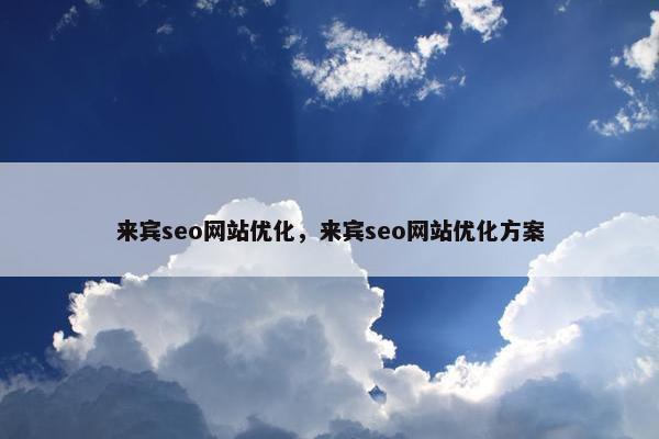 来宾seo网站优化，来宾seo网站优化方案