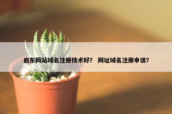 启东网站域名注册技术好？ 网址域名注册申请？