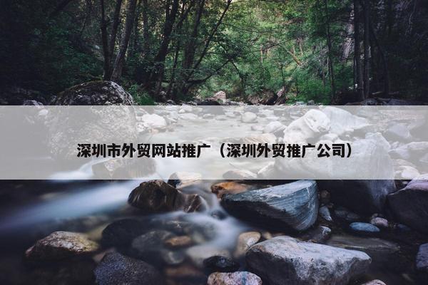 深圳市外贸网站推广（深圳外贸推广公司）