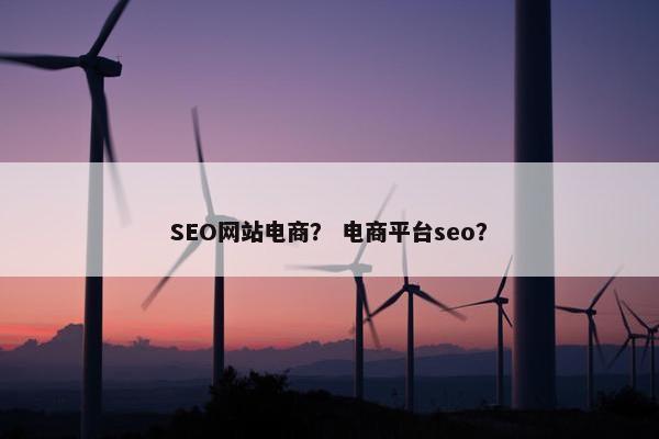 SEO网站电商？ 电商平台seo？