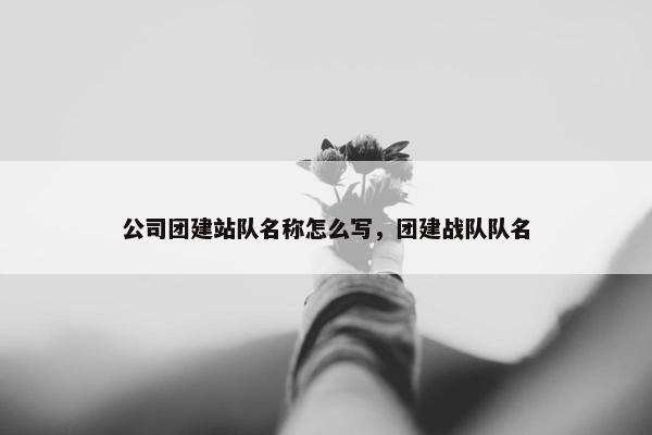公司团建站队名称怎么写，团建战队队名