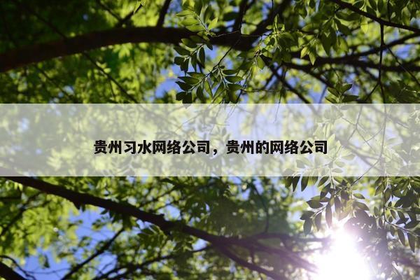 贵州习水网络公司，贵州的网络公司
