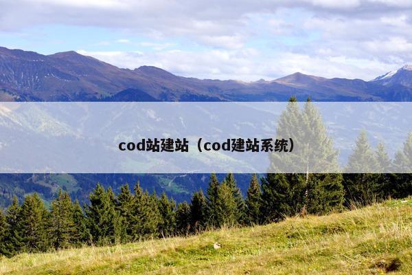 cod站建站（cod建站系统）