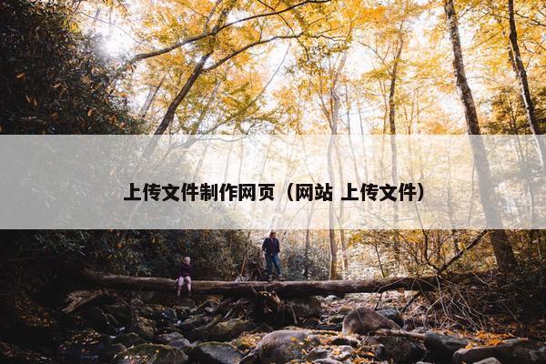 上传文件制作网页（网站 上传文件）