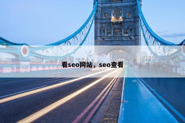 看seo网站，seo查看