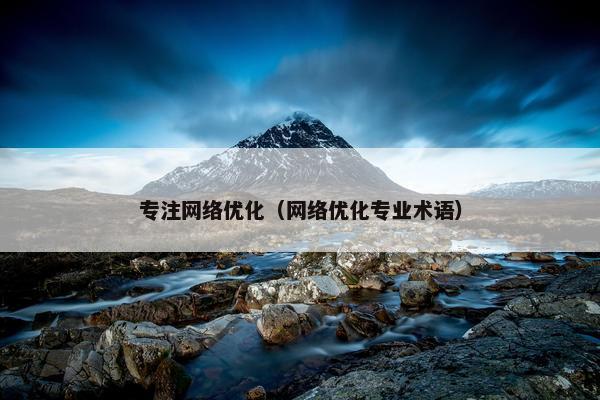 专注网络优化（网络优化专业术语）