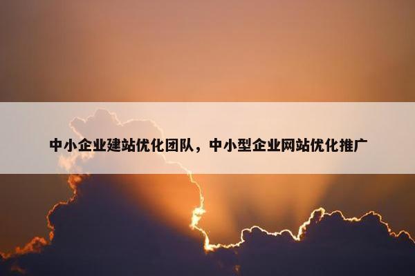 中小企业建站优化团队，中小型企业网站优化推广