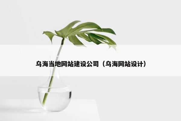 乌海当地网站建设公司（乌海网站设计）