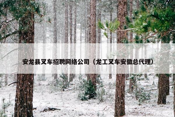 安龙县叉车招聘网络公司（龙工叉车安徽总代理）