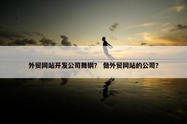 外贸网站开发公司舞钢？ 做外贸网站的公司？