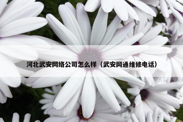 河北武安网络公司怎么样（武安网通维修电话）