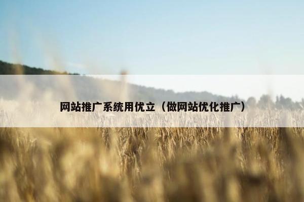 网站推广系统用优立（做网站优化推广）