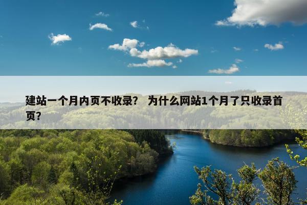 建站一个月内页不收录？ 为什么网站1个月了只收录首页？
