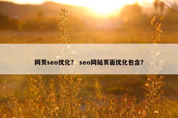网页seo优化？ seo网站页面优化包含？
