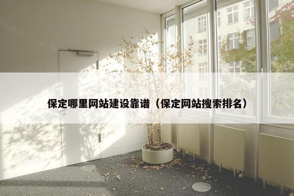 保定哪里网站建设靠谱（保定网站搜索排名）