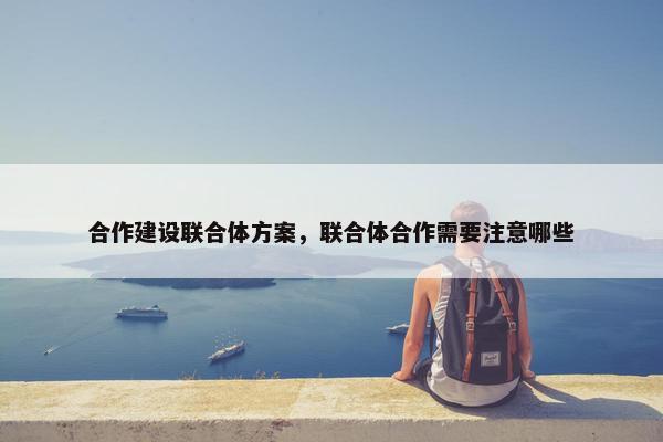 合作建设联合体方案，联合体合作需要注意哪些