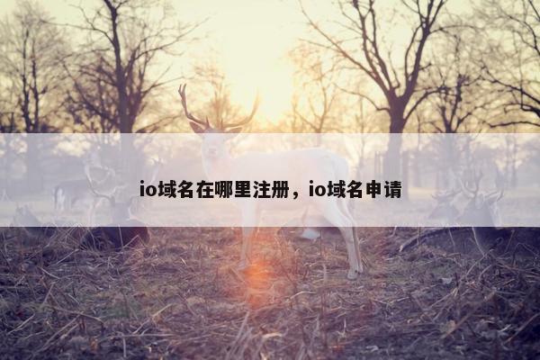 io域名在哪里注册，io域名申请