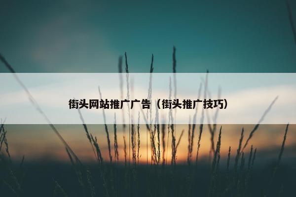 街头网站推广广告（街头推广技巧）