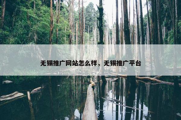 无锡推广网站怎么样，无锡推广平台
