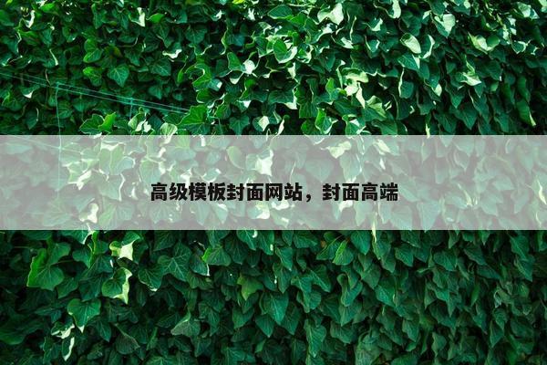 高级模板封面网站，封面高端
