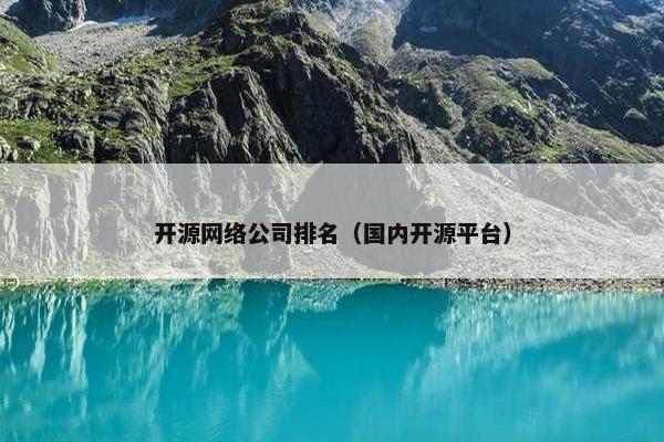开源网络公司排名（国内开源平台）