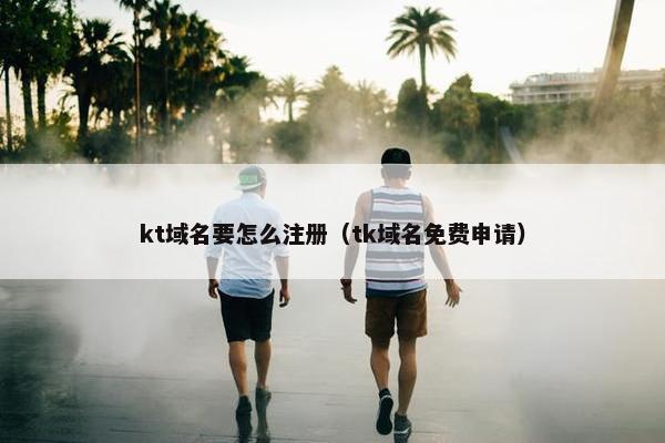 kt域名要怎么注册（tk域名免费申请）