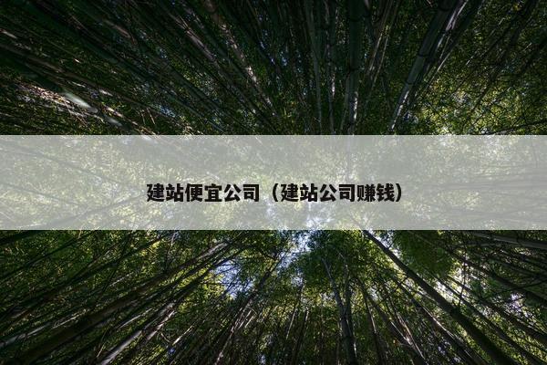 建站便宜公司（建站公司赚钱）