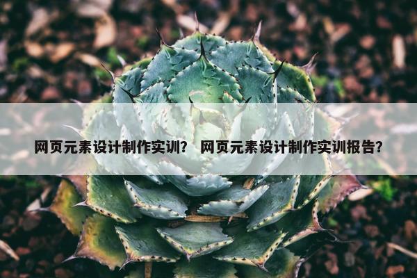网页元素设计制作实训？ 网页元素设计制作实训报告？