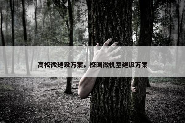 高校微建设方案，校园微机室建设方案