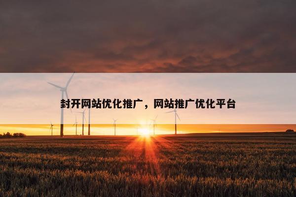 封开网站优化推广，网站推广优化平台