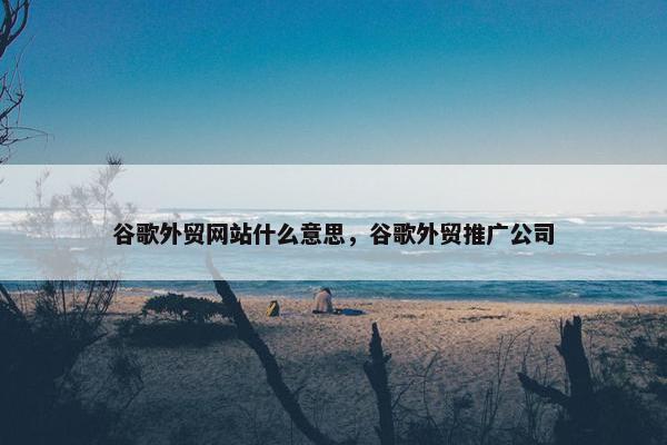 谷歌外贸网站什么意思，谷歌外贸推广公司