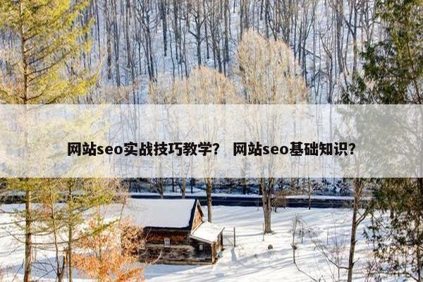 网站seo实战技巧教学？ 网站seo基础知识？