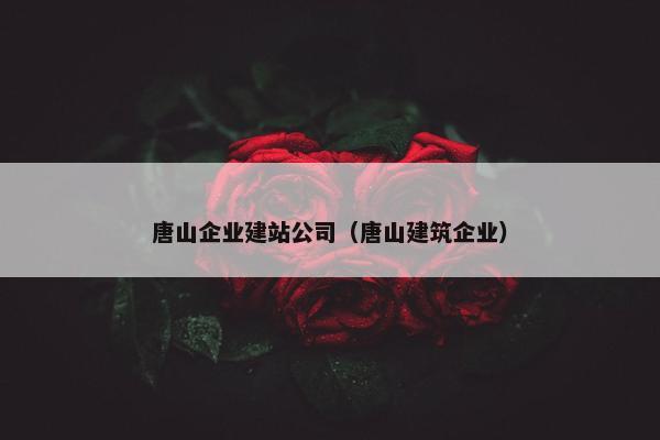唐山企业建站公司（唐山建筑企业）