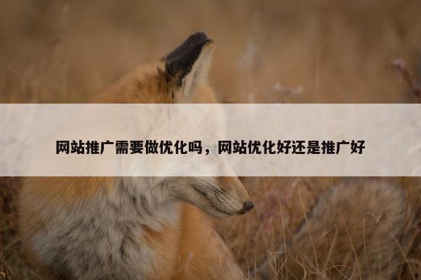 网站推广需要做优化吗，网站优化好还是推广好