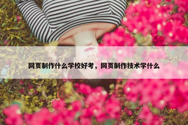 网页制作什么学校好考，网页制作技术学什么